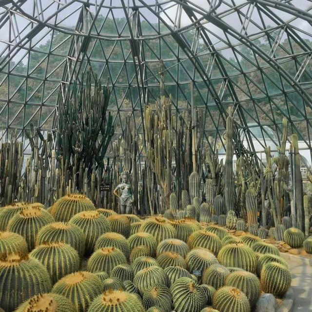 🏞️植物奧秘 - 仙湖植物園🌱
