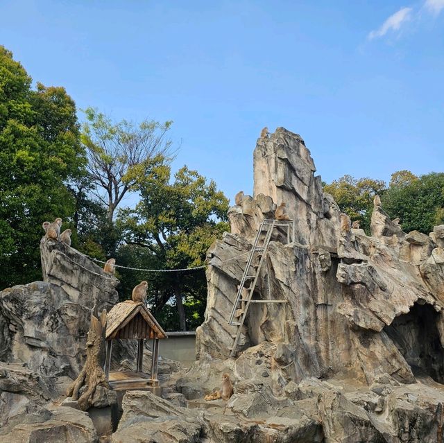 日本最古老最有名的動物園🐘🦒🐼🦌