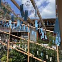 展望の社　指出磯　大嶽山神社