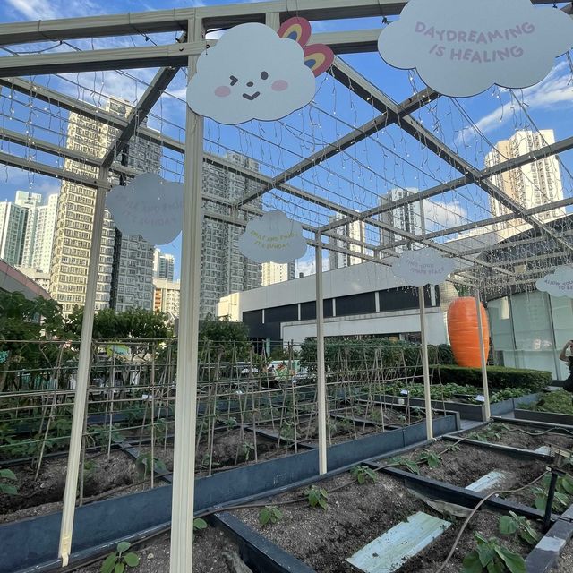 都市中既一點綠洲