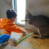 筍崗室內動物園