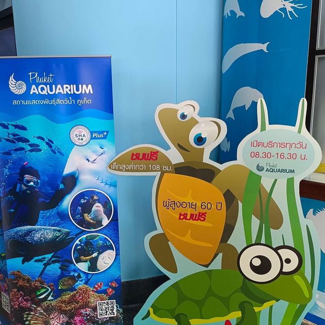 📍"ภูเก็ตอควาเรียม" แหล่งสัตว์น้ำใต้ท้องทะเล