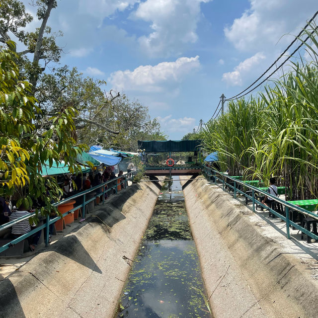 Hidden gems in Kuala Selangor | Trip.com Kuala Selangor