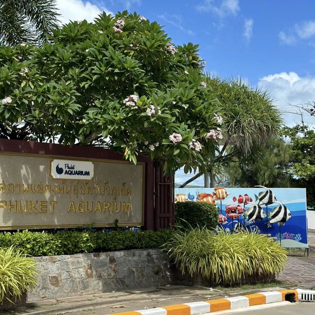 海底奇幻之旅！暢遊普吉水族館🐠🌊🐚
