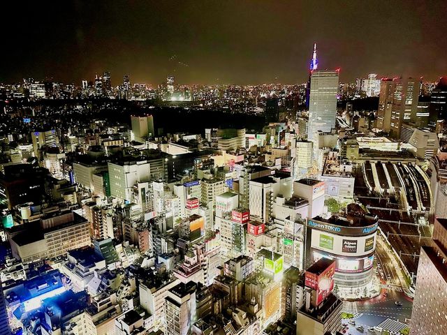 新宿GROOVE賓樂雅酒店 HOTEL GROOVE SHINJUKU, A PARKROYAL Hotel（ホテル・グルーヴ・シンジュク）
