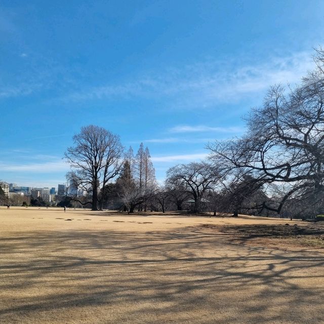 도쿄 도심 속에 이렇게 큰 공원이⁉️🏞