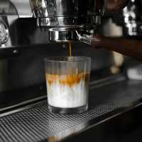 GATTA CAfe 