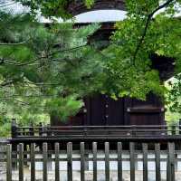 常寂光寺!!尋找內心寧靜的放鬆🌸🏯 
