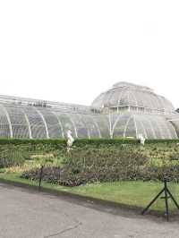 世界文化遺產之Kew Gardens‼️百年溫室❤️欣賞大同花卉
