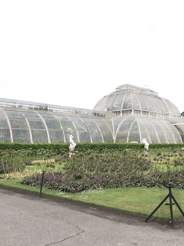 世界文化遺產之Kew Gardens‼️百年溫室❤️欣賞大同花卉