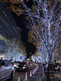 一定不能錯過的Roppongi Hills! 加上東京鐵塔的必拍地！
