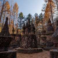 Sangso-dong Forest Bath in Winter Season 