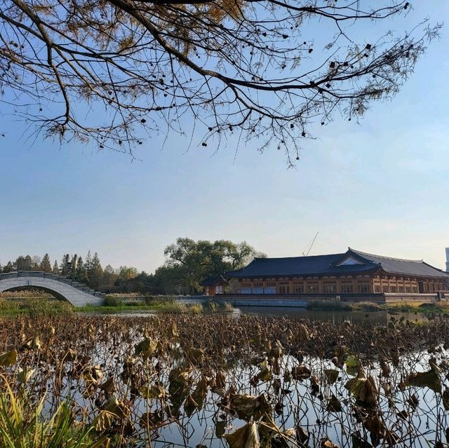 애견동반 가능한 전주 공원 : 전주 덕진공원 🌳