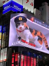 เมืองที่ไม่เคยหลับไหล Shinjuku, Tokyo