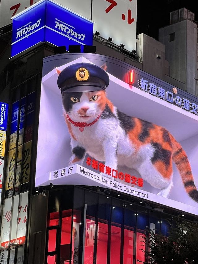 เมืองที่ไม่เคยหลับไหล Shinjuku, Tokyo