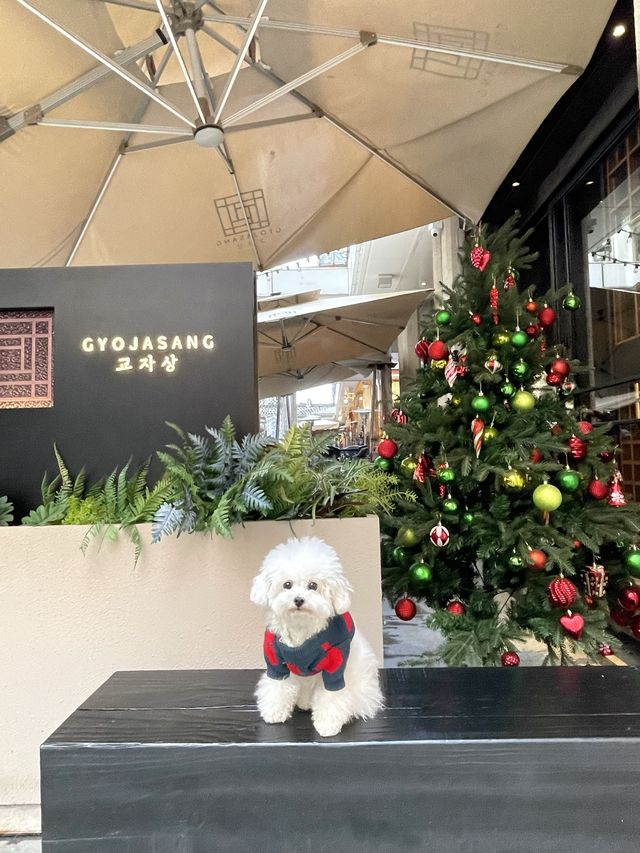 香港銅鑼灣寵物友善韓式居酒屋-GYOJASANG
