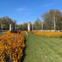 Springtime at Buckingham Palace 