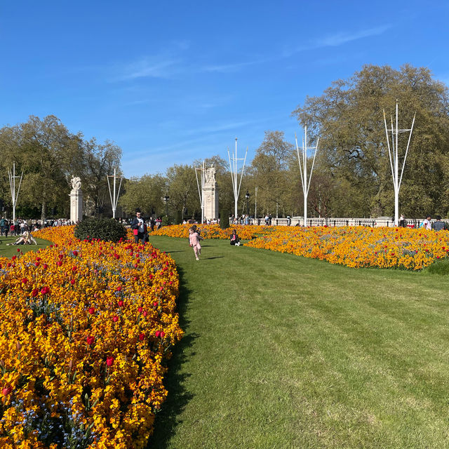 Springtime at Buckingham Palace 