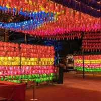 Traditional Lantern Exhibition