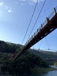 One-day Trip ชมน้ำตก เที่ยวถนนคนเดินที่ Wulai