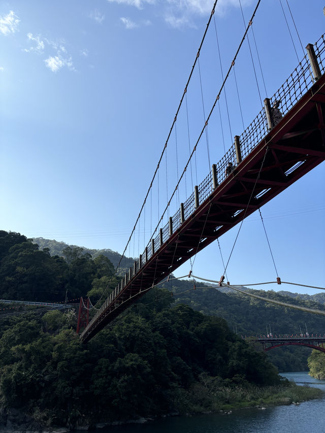 One-day Trip ชมน้ำตก เที่ยวถนนคนเดินที่ Wulai