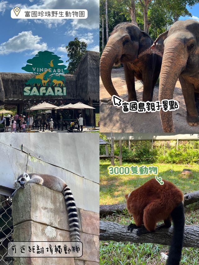 富國島最新親子景點之一😬珍珠島野生動物園❤️近距離接觸小動物