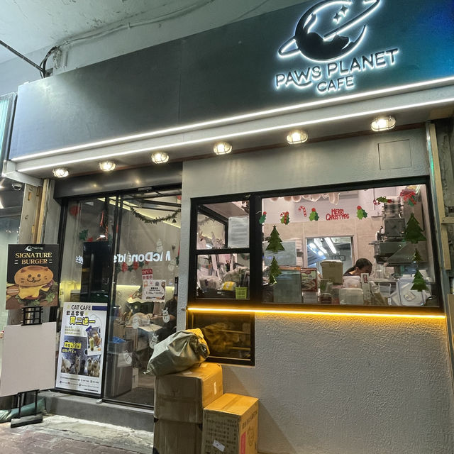 香港屯門｜布偶貓喵星球餐廳