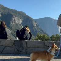 Met a corgi at Yosemite!