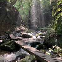 Itajiki Odaki Falls 