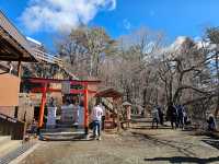 Mt. Fuji Panoramic Ropeway 