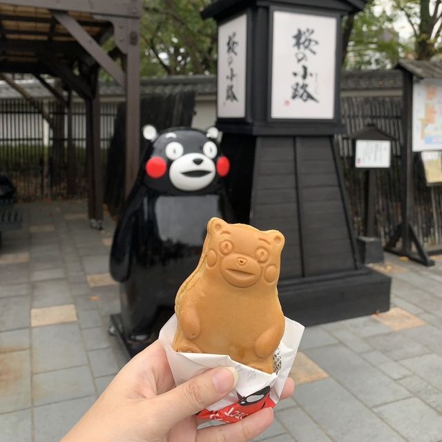 Kumamoto Castle 🧸🧧