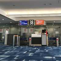 【搭乗記】関西国際空港から成田国際空港✈️ジェットスターに乗る