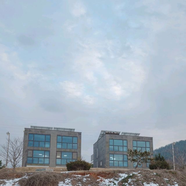 논뷰가 멋있는 고창 네모의 꿈