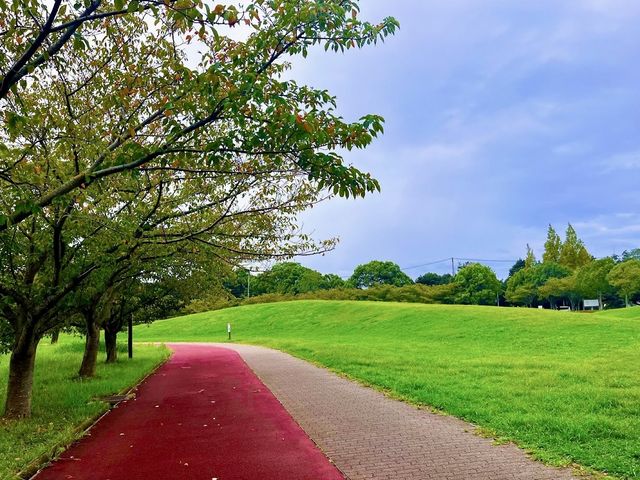 Tarumi Wellness Park