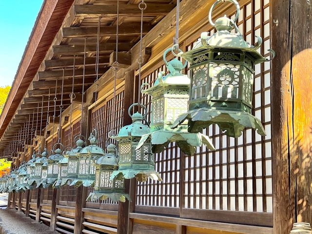 Kasuga Taisha