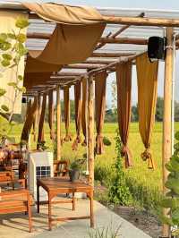 🍃🌾 Lamer Homecraft cafe 