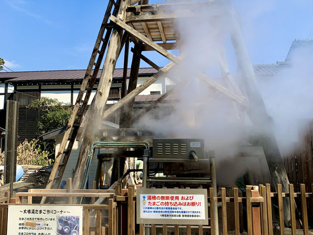 🇯🇵靜岡｜伊豆河津櫻🌸2月關東賞櫻首選