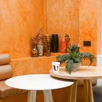 U Cup Coffeebar x Specialty Coffee