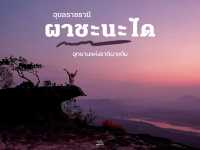 ไปดูอาทิตย์ขึ้นก่อนใครที่ ผาชะนะได