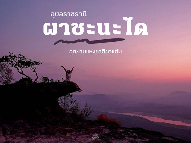 ไปดูอาทิตย์ขึ้นก่อนใครที่ ผาชะนะได