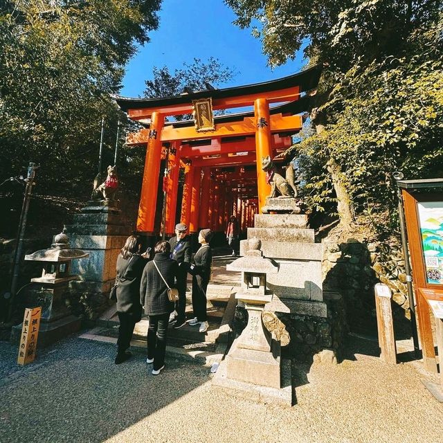 Exploring Fushima Inari Taisha