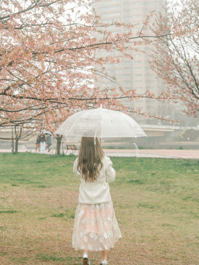 東京｜東京賞櫻花好去處：汐入公園🌸