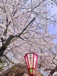 【島根　松江】お城まつり