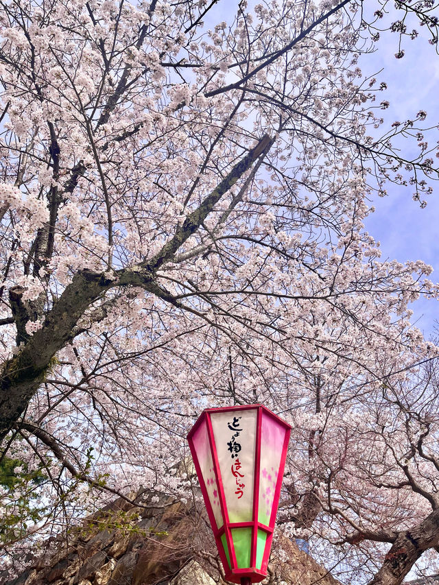 【島根　松江】お城まつり