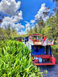 Taman Nasional Tanjung Puting