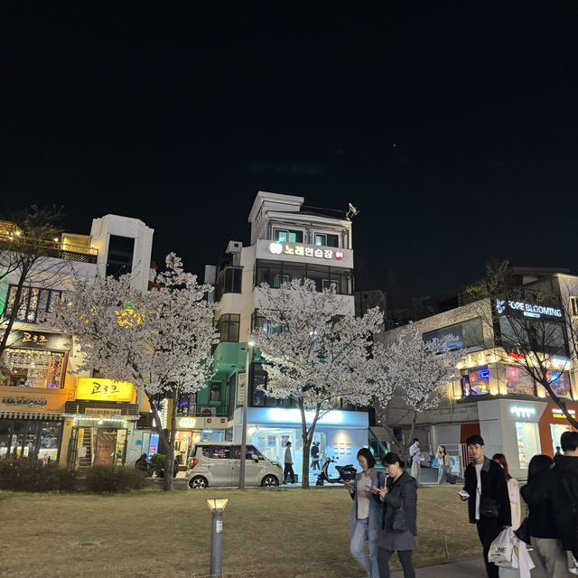 Shop and see cherry blossoms at Hongdae