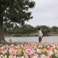 「海の中道海浜公園」春天賞花，適合一家大細玩足一日！