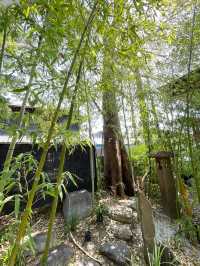 【行田八幡神社／埼玉県】花手水で溢れる境内