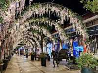 Night Life in Bangkok