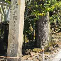 如詩如畫的京都銀閣寺🕍